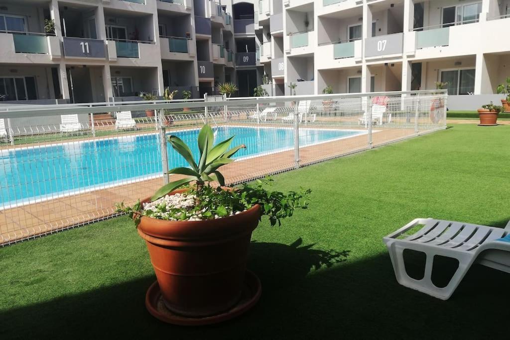 Blue Ocean Corralejo: Sunny Terrace, Pool, Wifi Lägenhet Exteriör bild